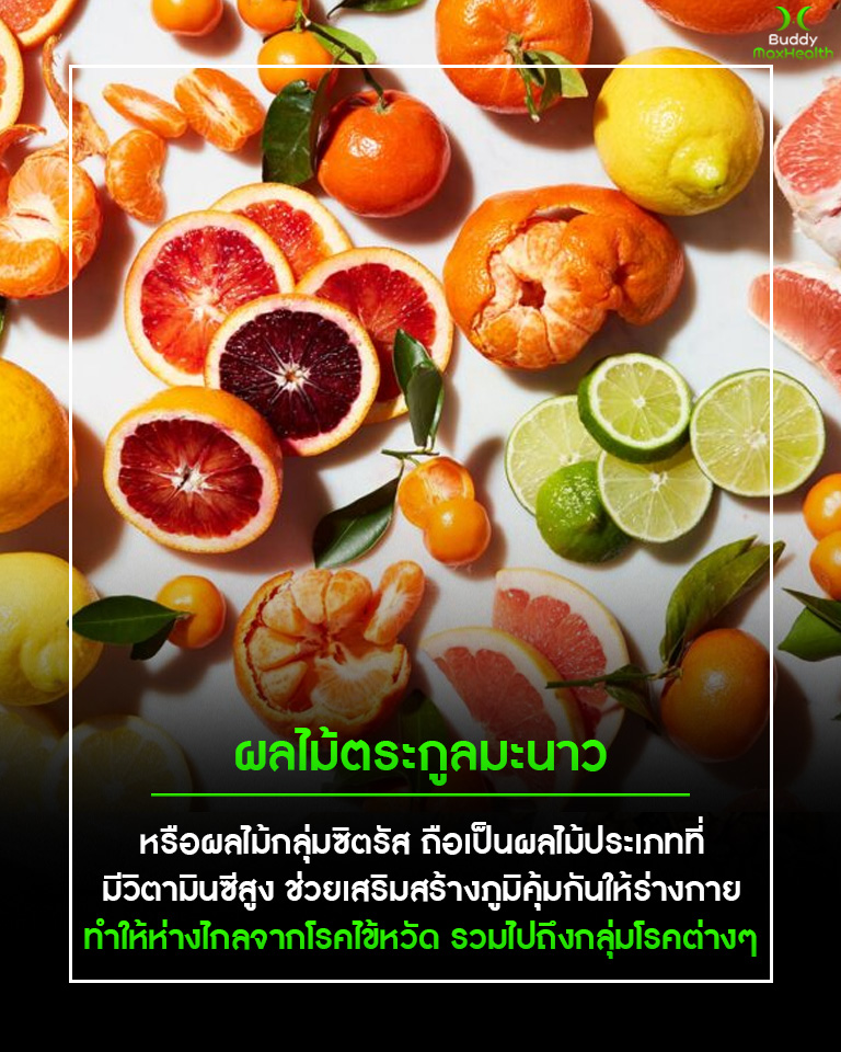 ไส้หัวข้อ1. 6 อาหารบำรุงสุขภาพ สร้างภูมิคุ้_1 ไส้หัวข้อ1. 6 อาหารบำรุงสุขภาพ สร้างภูมิคุ้_1
