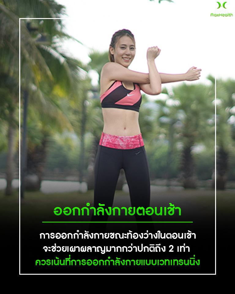 ไส้หัวข้อ4. 5 เคล็ดลับทำตอนเช้า ลด “ไขมันพอก5 ไส้หัวข้อ4. 5 เคล็ดลับทำตอนเช้า ลด “ไขมันพอก5