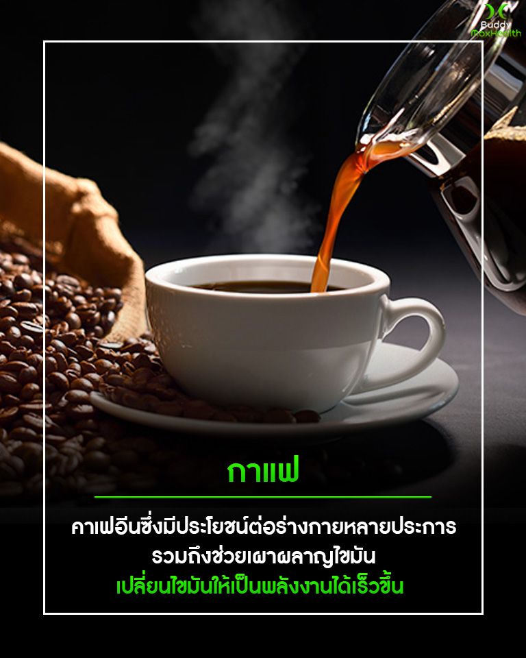 ไส้หัวข้อ6. 11 อาหารจากธรรมชาติเร่งระบบเผาผนนน ไส้หัวข้อ6. 11 อาหารจากธรรมชาติเร่งระบบเผาผนนน